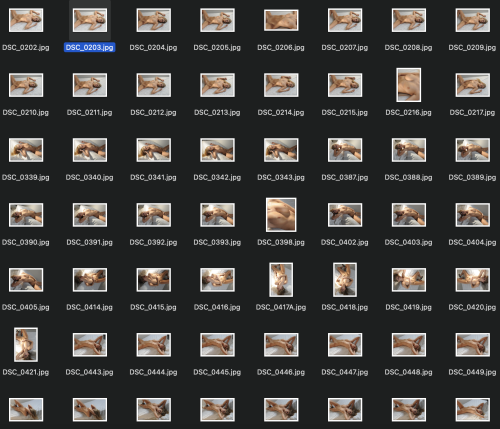 Screenshot-2025-06-06-at-8.55.24PM66825d789c69d25f.png