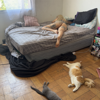 Screenshot_2025-02-16-03-51-43-083_com.android.chrome793863bc1359407c