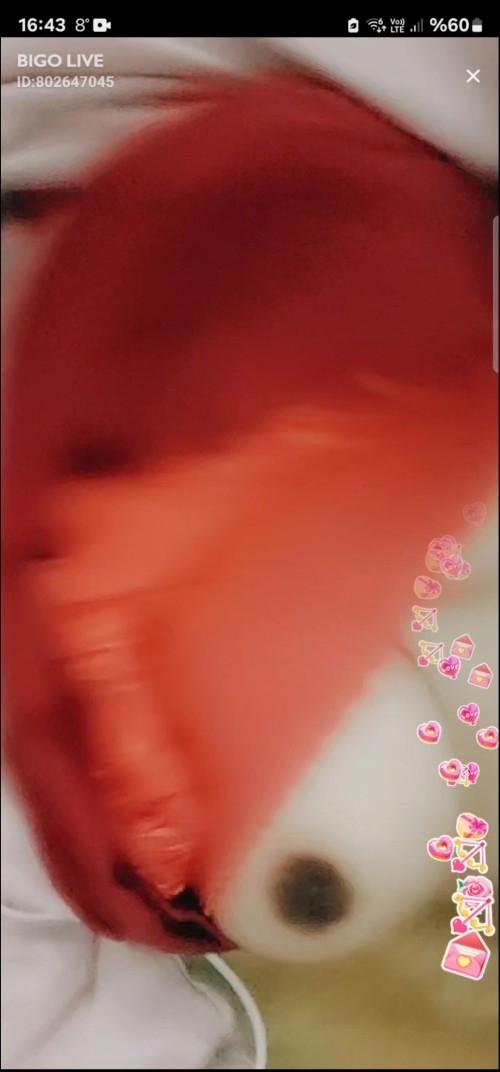 Screenshot_20250420_193232_Gallery2ff45396c95c9cb1.jpg