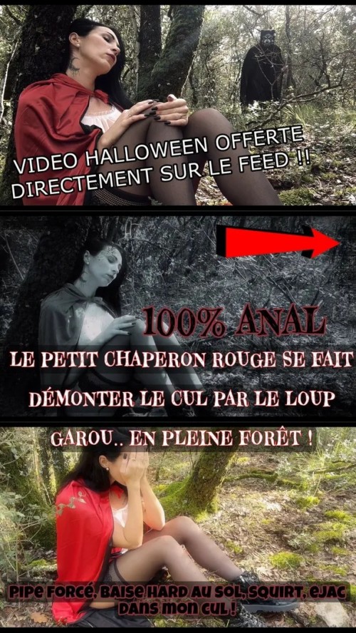 Shasha-Lopez---Le-Cauchemar-du-Petit-Chaperon-Rouge0.jpg
