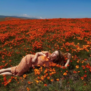 SnapInsta.to_432019832_369945662574973_2121265908479379318_nd55c6fb2fc0c6d2c