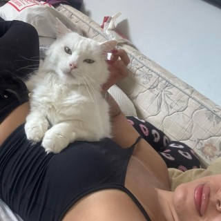 SnapTikZ.App_7446981199681031429_1