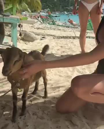 SnapVideo.app_AQM5TVLE7sKxYECie8h5PwZzSkyMGCHVgg72p7rRB4uHYtiq3pfrTkLCHRLGdWMmAs170r5yyHIamlvYX9pbKnNKzqnD3o8-prXEwn0.mp4