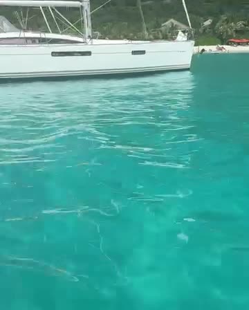 SnapVideo.app_AQMlMxlSuEngn6b4dmGUGB8v2vvaeQBdB7vELd6Kpy3iaEgacBkzo_vy3EeGqQOC3zt4CEMymFReVirUwsViC6OLLSFDhC_EbzGAIEE.mp4