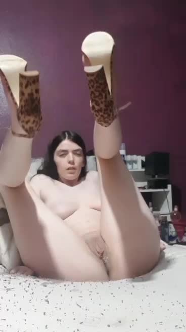 Snapchat-511350844.mp4