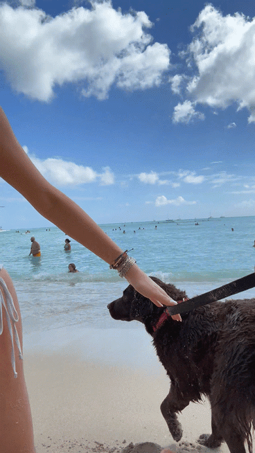 Transparent-white-2fcffac7897800cf5.gif