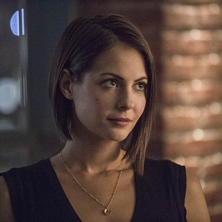 Willa-Holland-R009d708279020773bfd