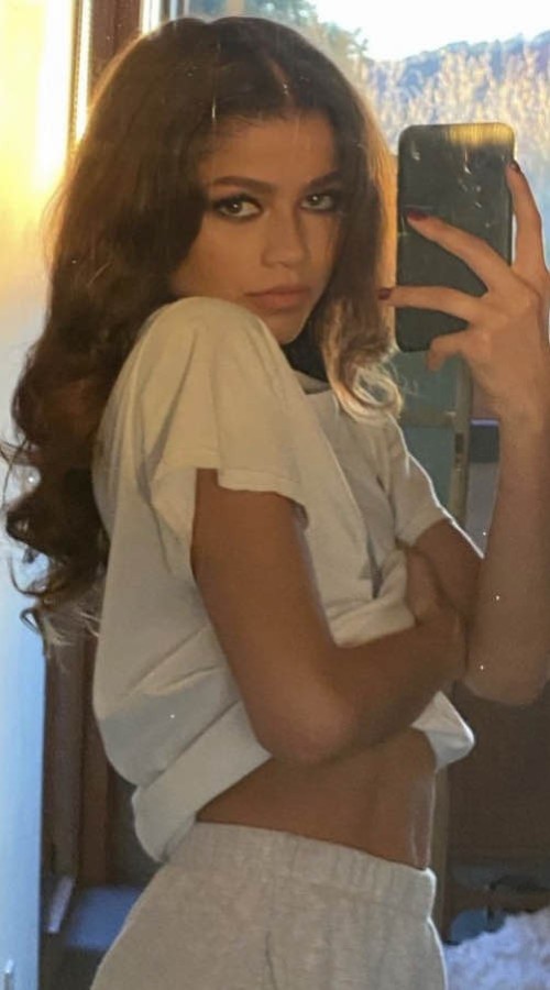 Zendaya-R0165018096fa2d225c6.jpg