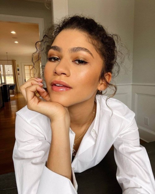 Zendaya-R047f01ee537c4a53882.jpg