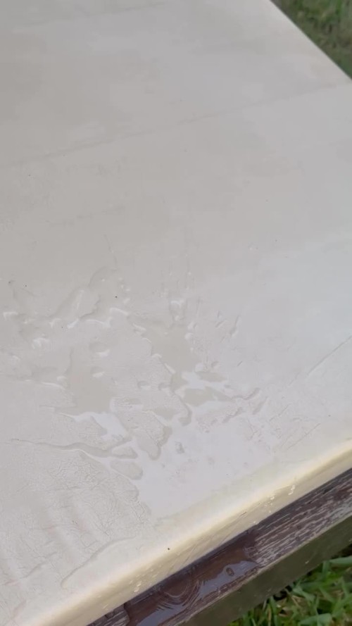 adriana campossalazar 1737071305 3547132648242772136 4326977930