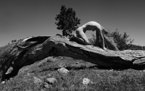arch_by_jordanbunniie_d50hnhy-fullview9edb93ab2b770cd6.jpg