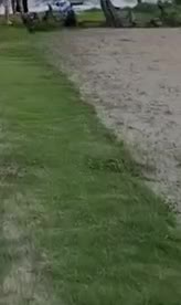 ass2025842c1778358db553.mp4
