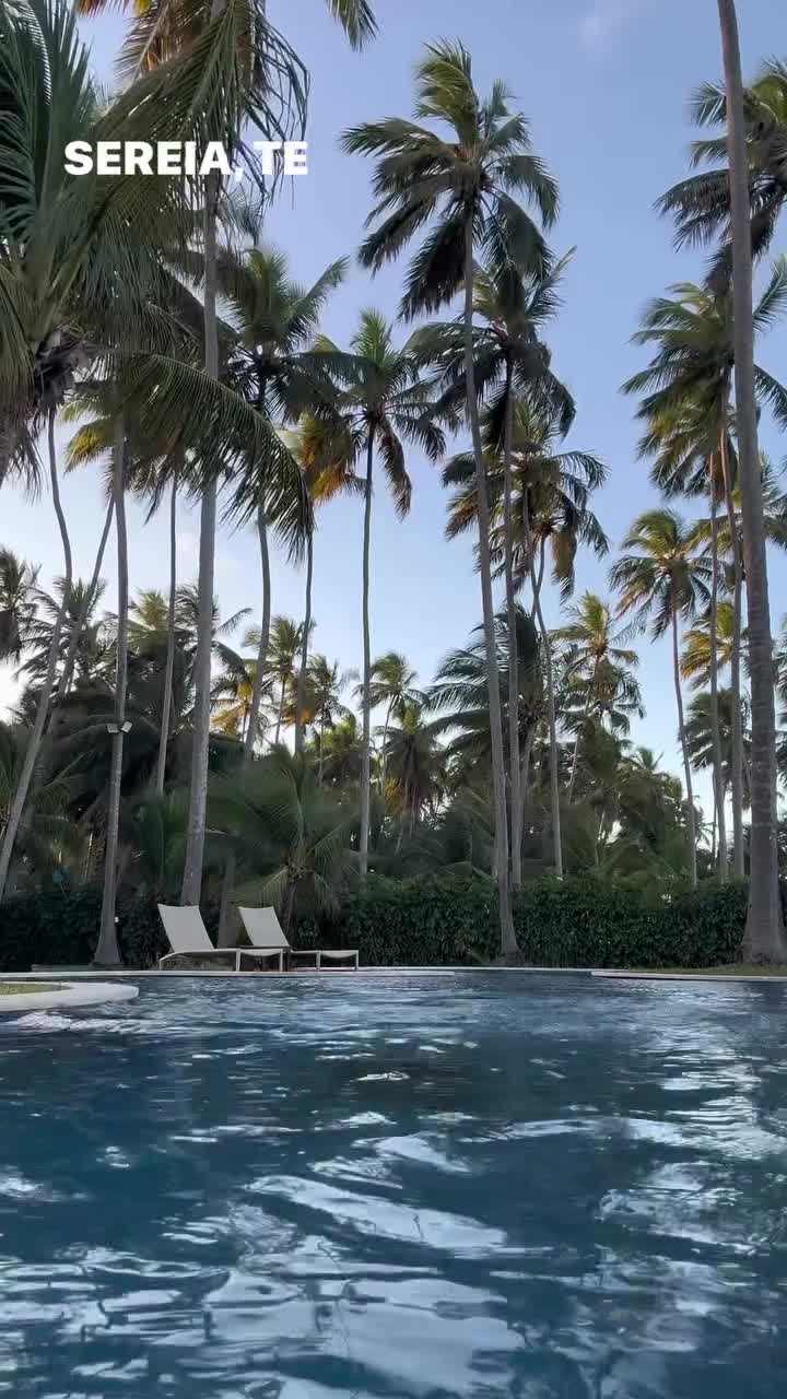 becaa_barreto-20251123-0008.mp4