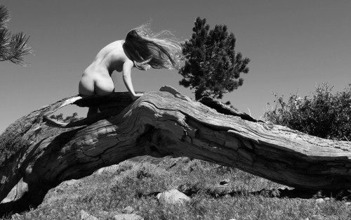 bendandnotbreak_by_jordanbunniie_d50hntz-fullviewf025f6021a62de55.jpg