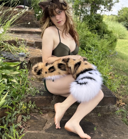 catgirlcc7d61de6ec19ad2.jpg