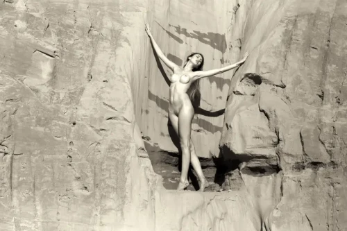 d71ed4f5 bd40 4d09 90db c70b4fba732e