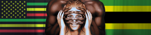 expanded_fd5625d2-6623-4bf2-b2e1-bc0d1bda420e-BANNER-proposed_flag_of_Jamaicad63769b6d163358e.png