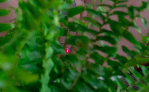 ezgif-4a4d03d167d2c14dd106067e74686.png