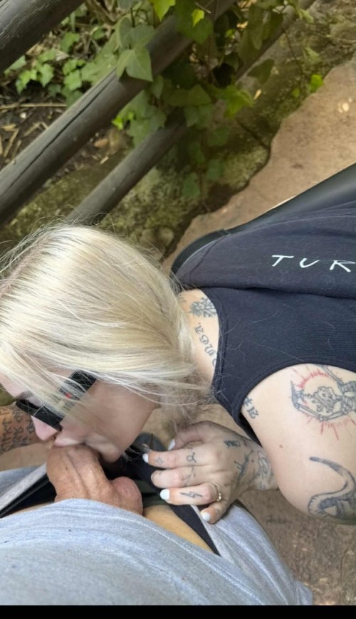 f4eaf0b5 b168 4095 a193 6ade288e50a3