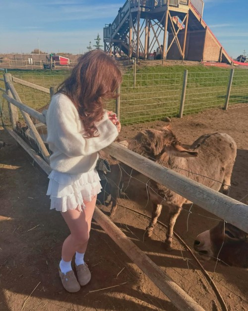 giuliahere photo DBJaGNkvpZF 20241015 155339 463359681