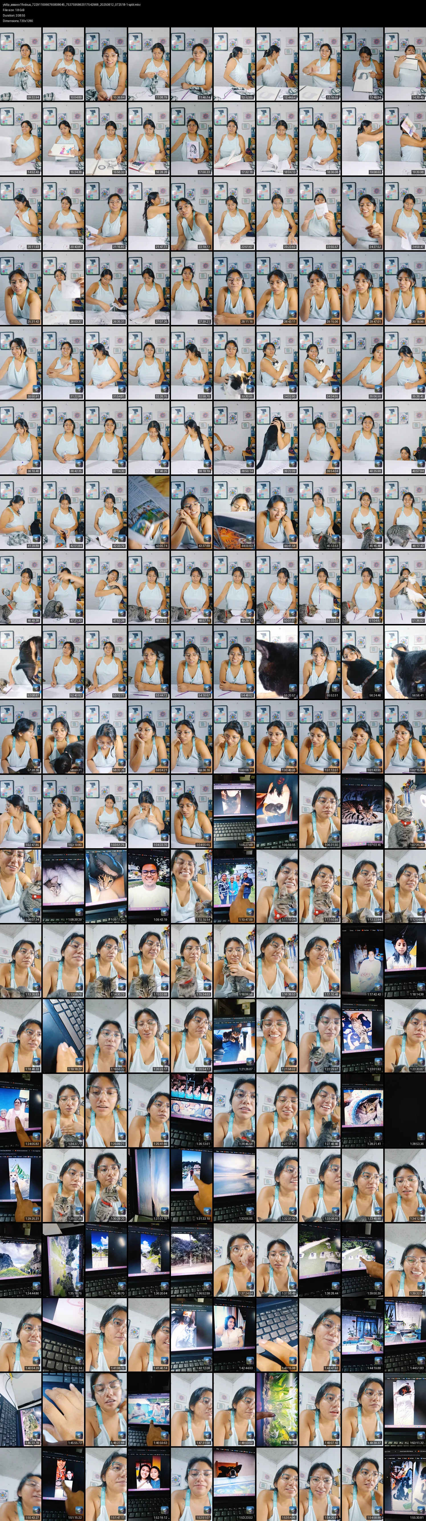 grid_ytdlp_asssxxx1firdous_7229110066765808645_7537595862017542968_20250812_072518-1-split.mkv.webp