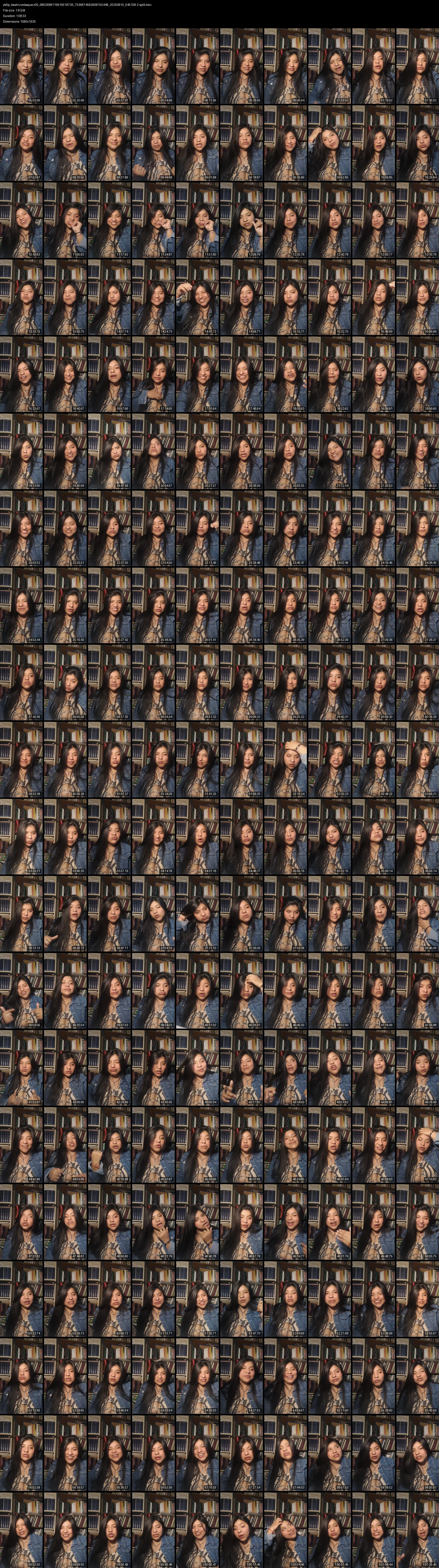 grid_ytdlp_beatrizvelasquez05_6802698119919518726_7536814562608155448_20250810_045108-2-split.mkv.webp