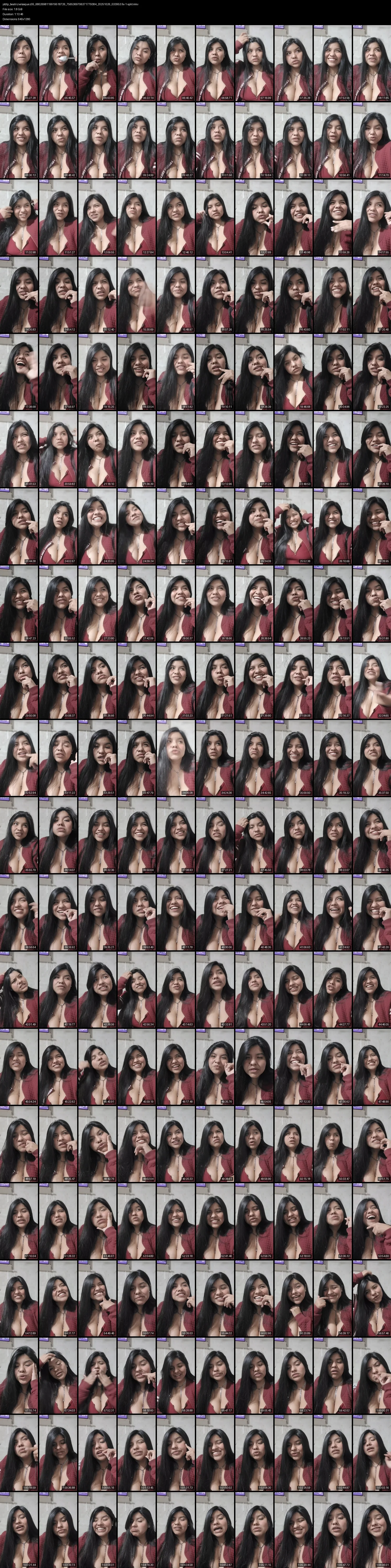 grid_ytdlp_beatrizvelasquez05_6802698119919518726_7565369706371779384_20251026_033953.fix-1-split.mkv.webp