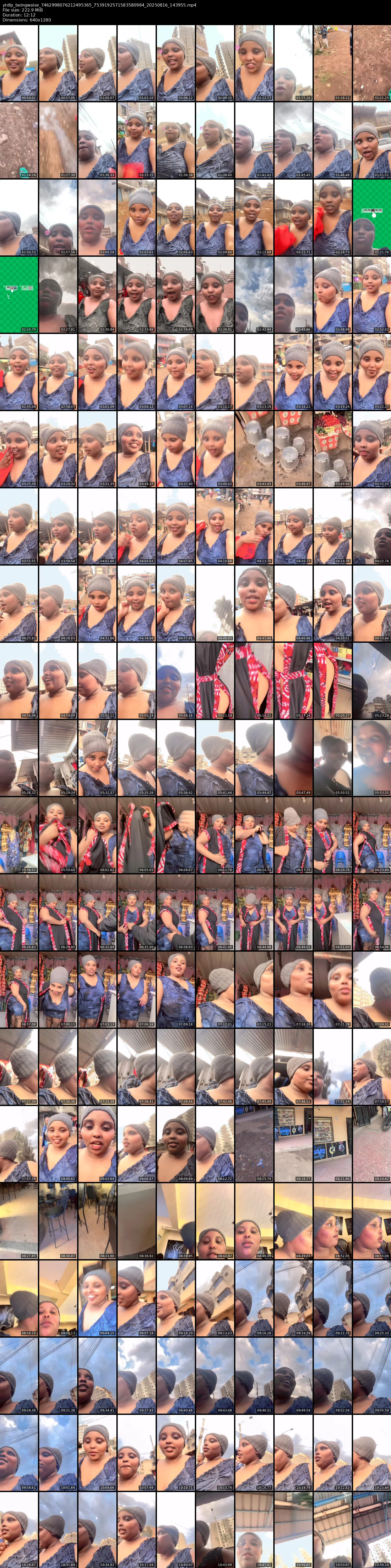grid_ytdlp_beingwaise_7462998076212495365_7539192571583580984_20250816_143955.mp4.webp