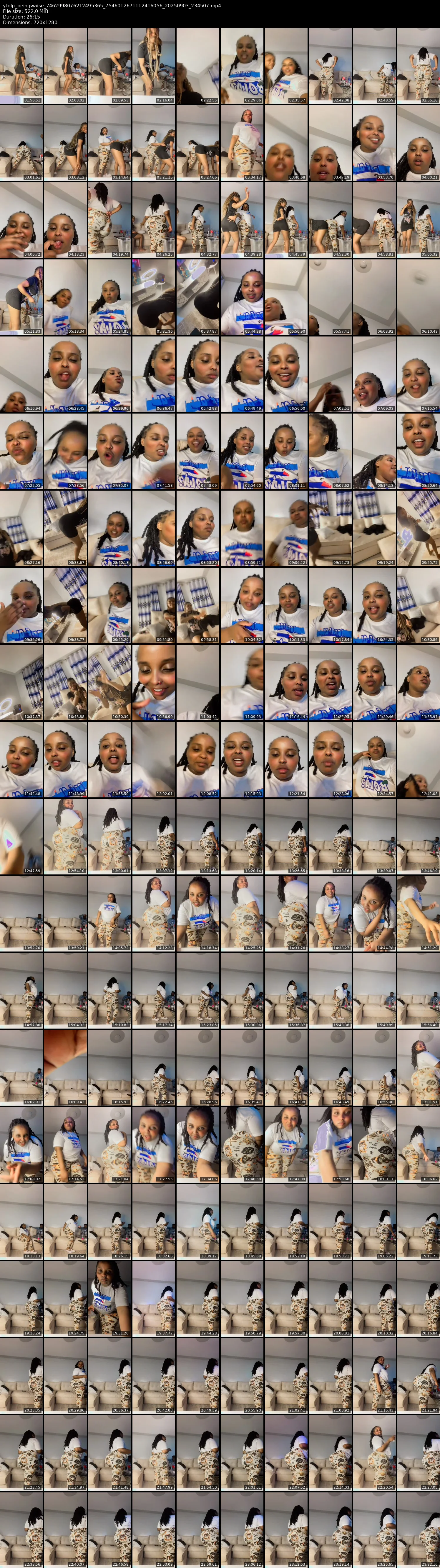 grid_ytdlp_beingwaise_7462998076212495365_7546012671112416056_20250903_234507.mp4.webp
