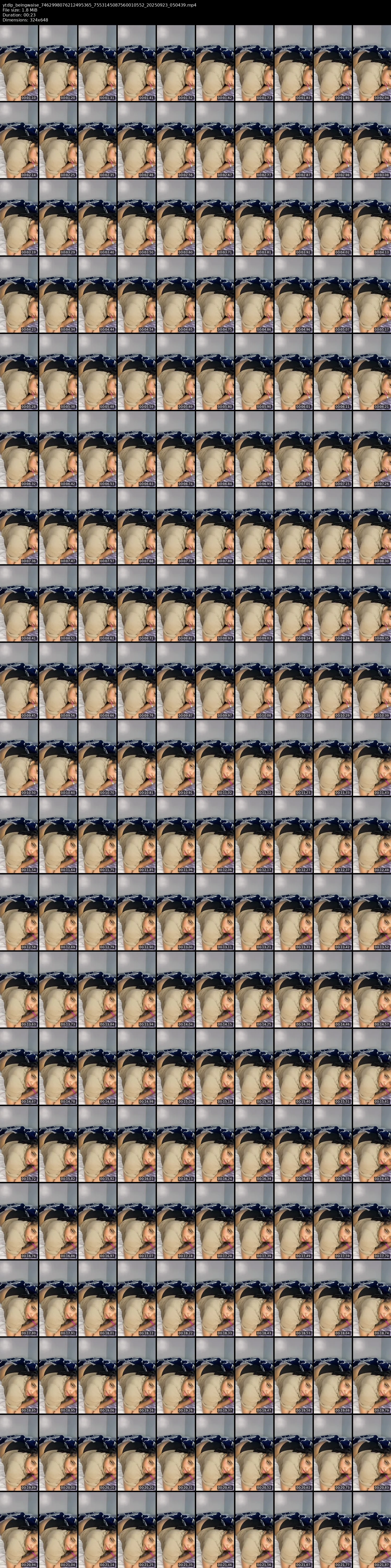 grid_ytdlp_beingwaise_7462998076212495365_7553145087560010552_20250923_050439.mp4.webp