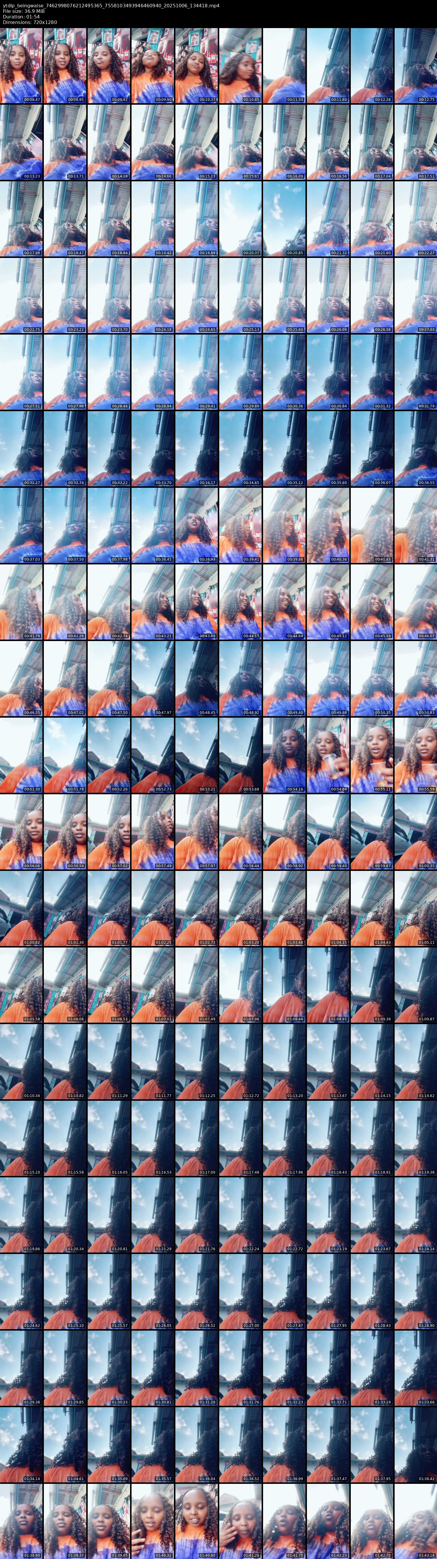 grid_ytdlp_beingwaise_7462998076212495365_7558103493946460940_20251006_134418.mp4.webp