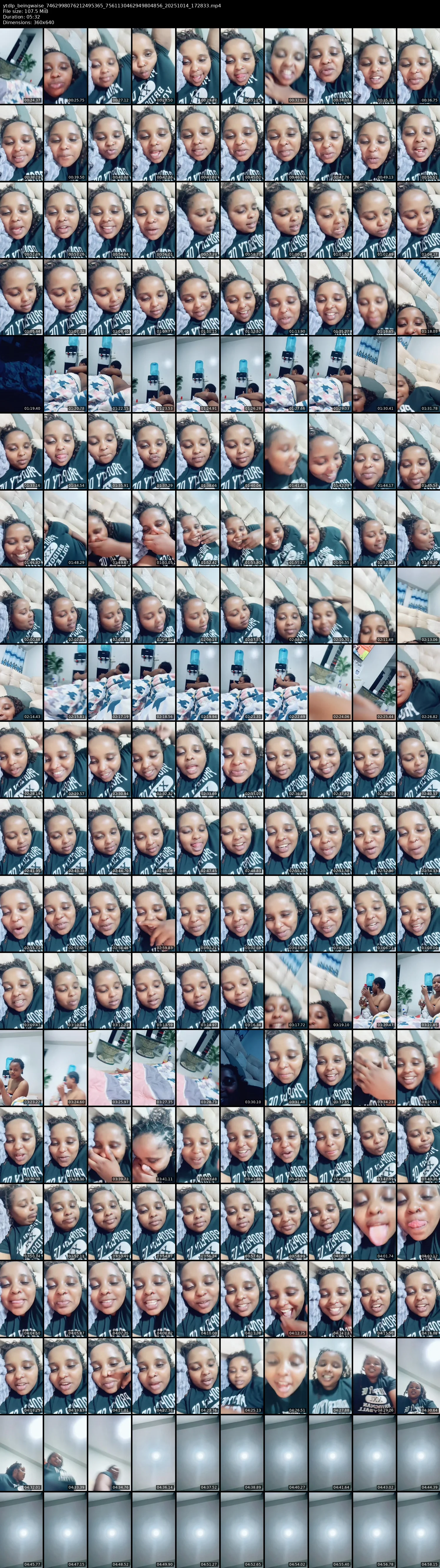 grid_ytdlp_beingwaise_7462998076212495365_7561130462949804856_20251014_172833.mp4.webp