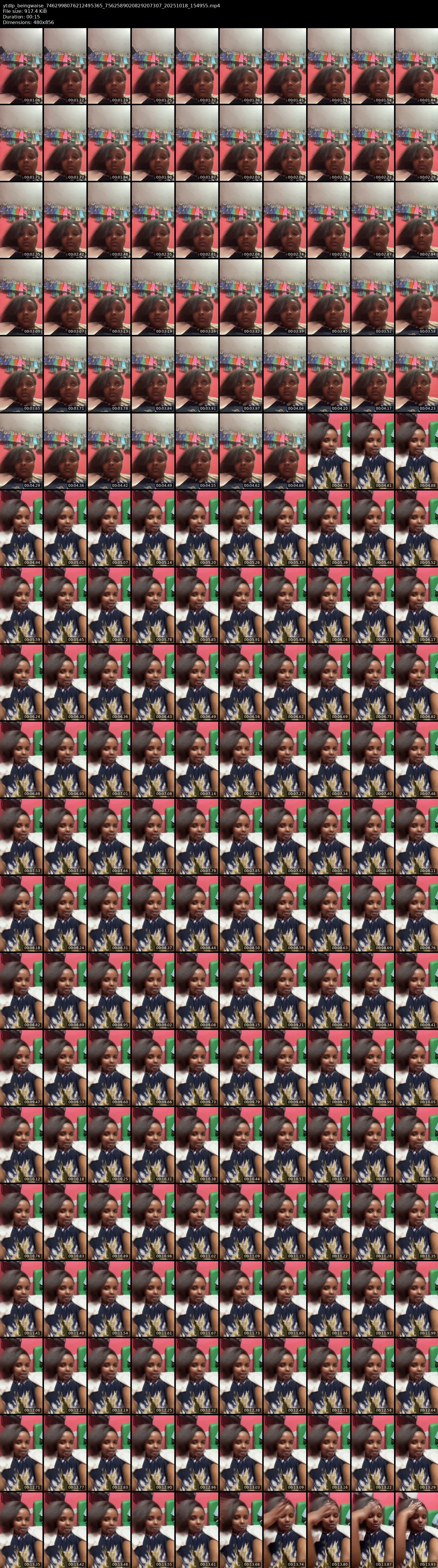 grid_ytdlp_beingwaise_7462998076212495365_7562589020829207307_20251018_154955.mp4.webp