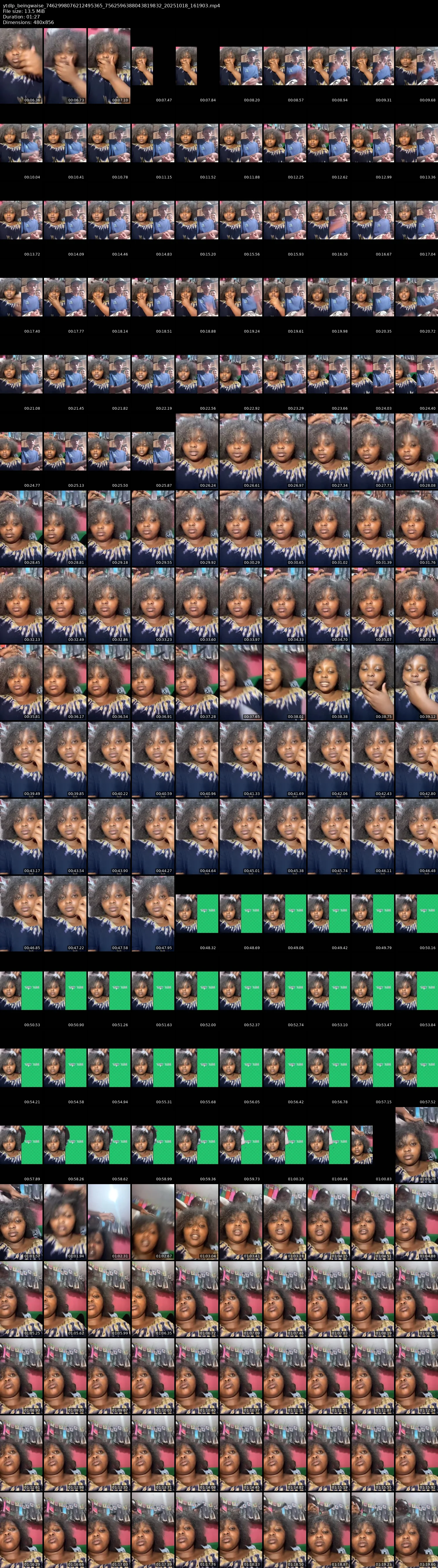 grid_ytdlp_beingwaise_7462998076212495365_7562596388043819832_20251018_161903.mp4.webp