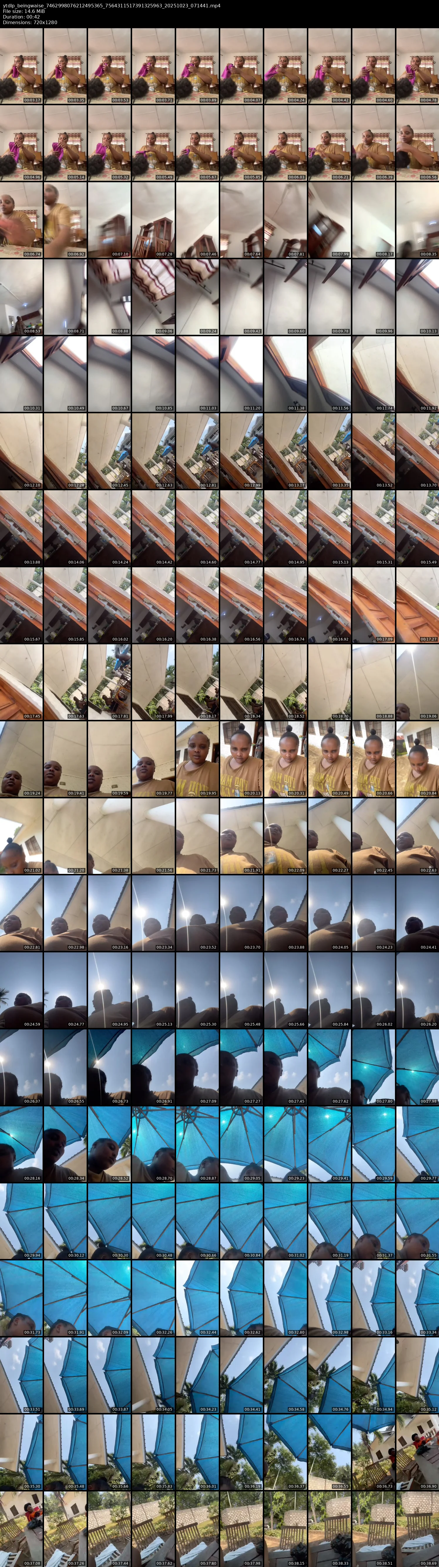 grid_ytdlp_beingwaise_7462998076212495365_7564311517391325963_20251023_071441.mp4.webp