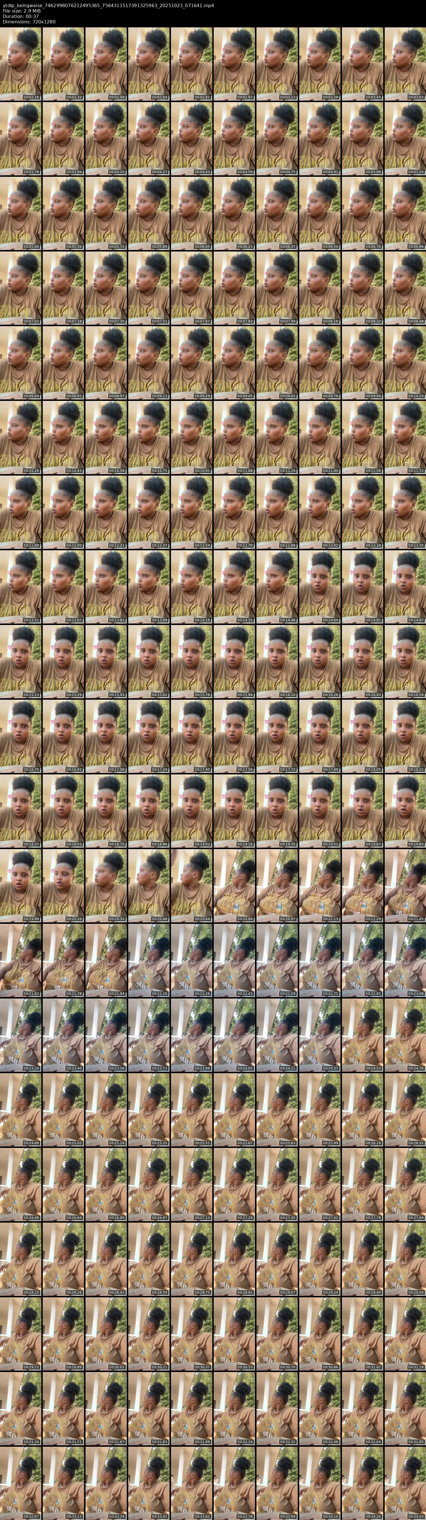 grid_ytdlp_beingwaise_7462998076212495365_7564311517391325963_20251023_071641.mp4.webp