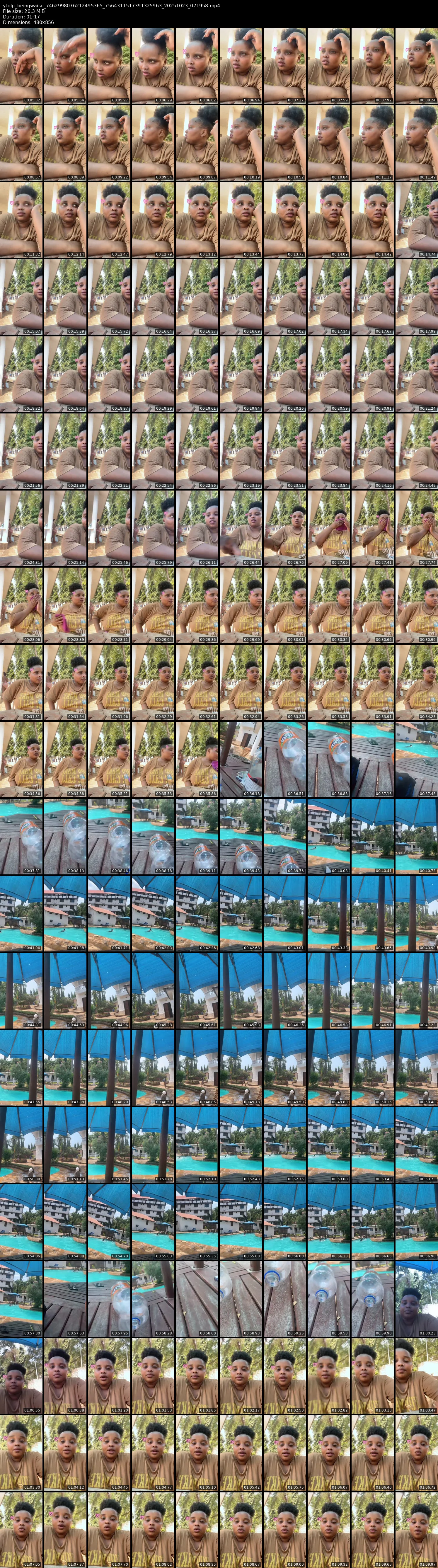 grid_ytdlp_beingwaise_7462998076212495365_7564311517391325963_20251023_071958.mp4.webp