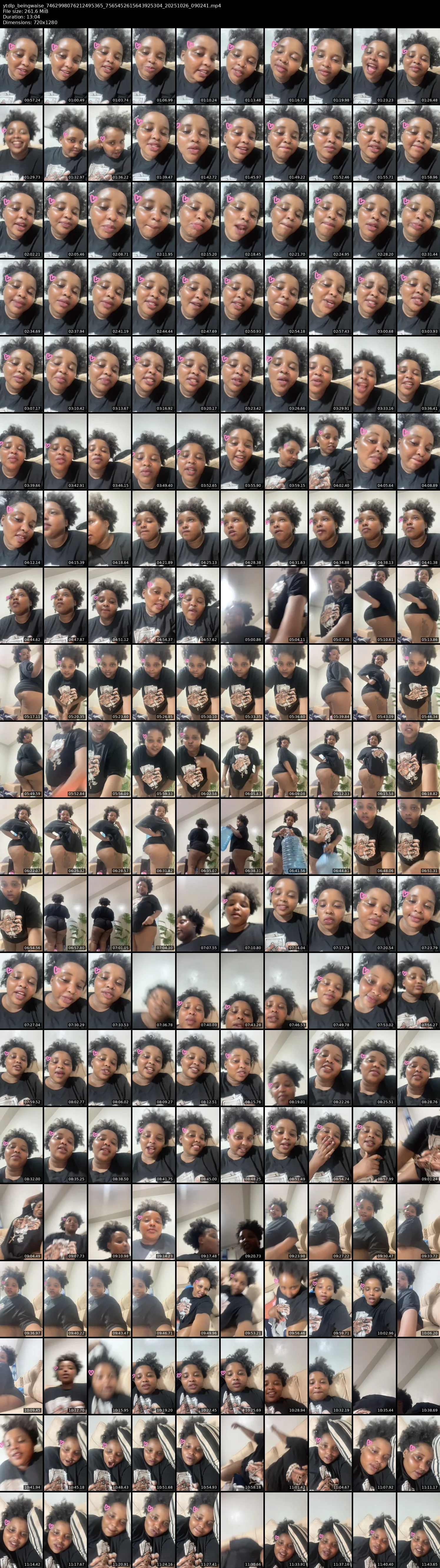 grid_ytdlp_beingwaise_7462998076212495365_7565452615643925304_20251026_090241.mp4.webp