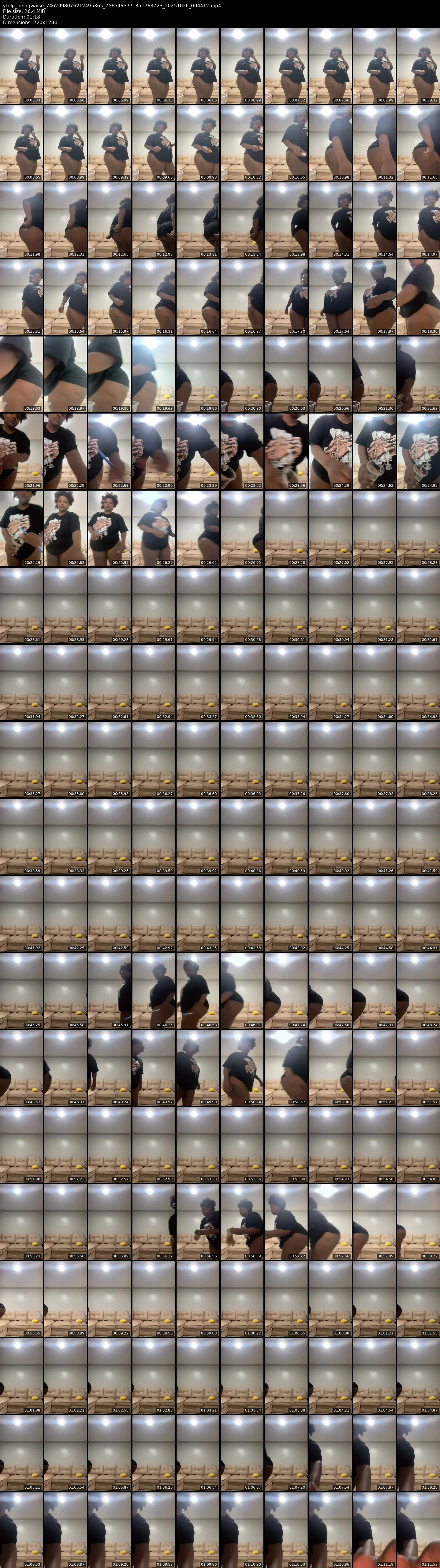 grid_ytdlp_beingwaise_7462998076212495365_7565463771351763723_20251026_094412.mp4.webp