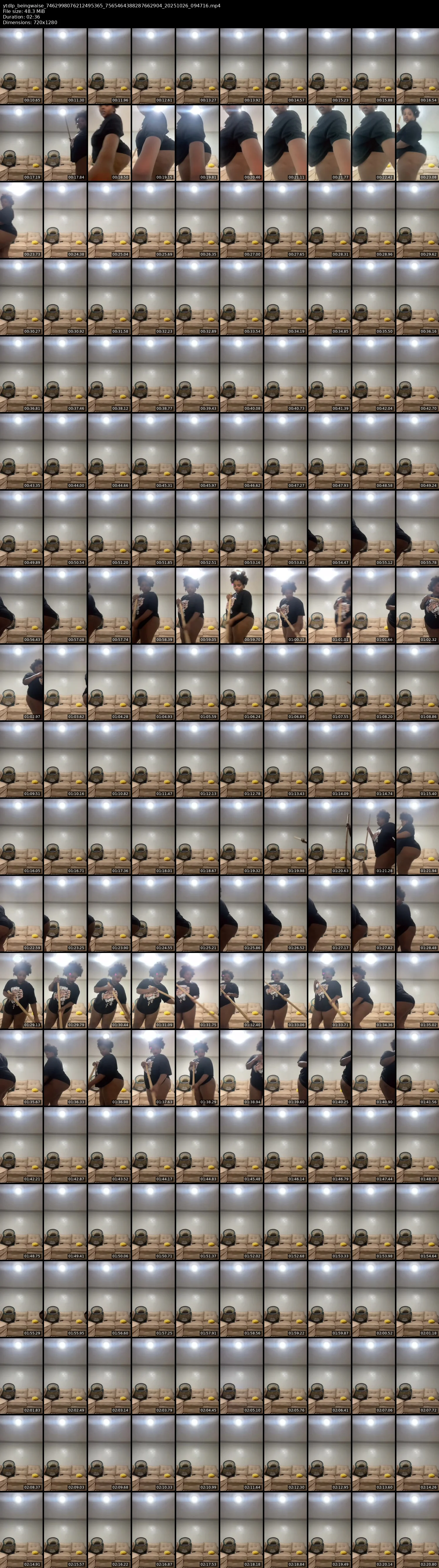 grid_ytdlp_beingwaise_7462998076212495365_7565464388287662904_20251026_094716.mp4.webp