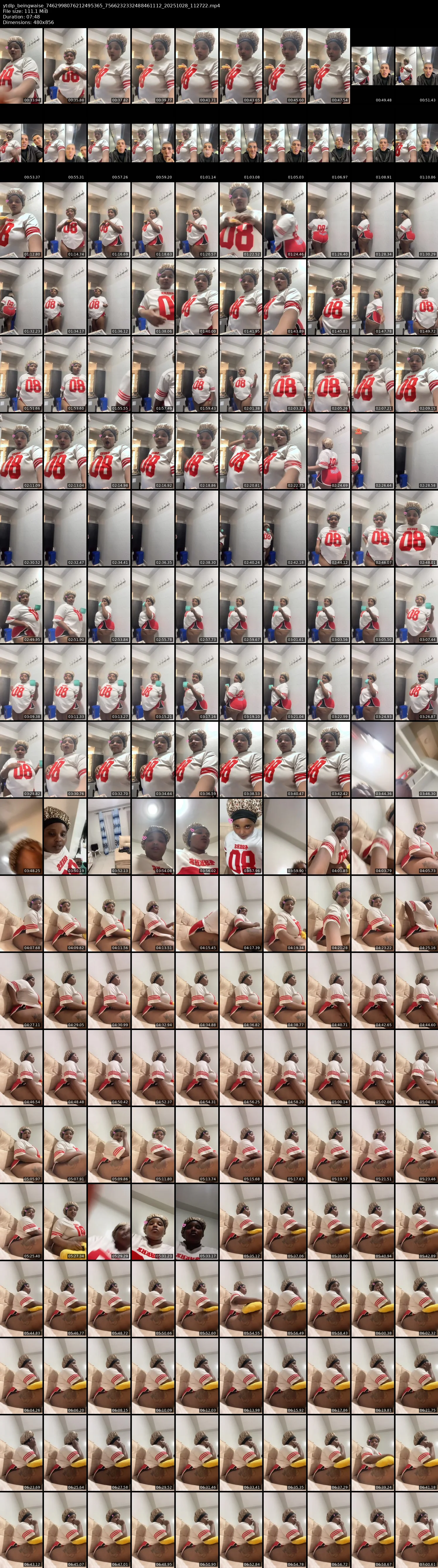 grid_ytdlp_beingwaise_7462998076212495365_7566232332488461112_20251028_112722.mp4.webp