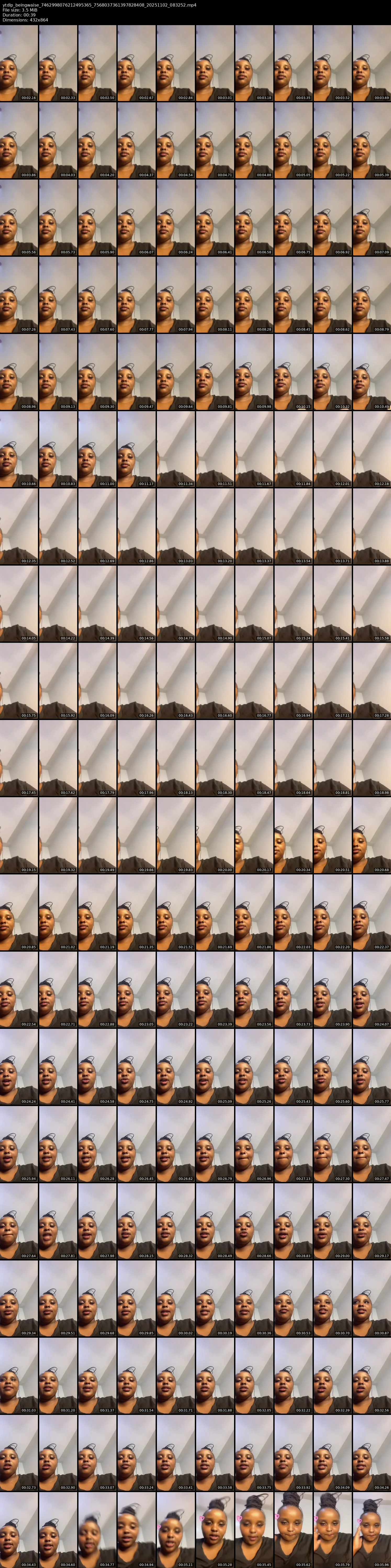 grid_ytdlp_beingwaise_7462998076212495365_7568037361397828408_20251102_083252.mp4.webp