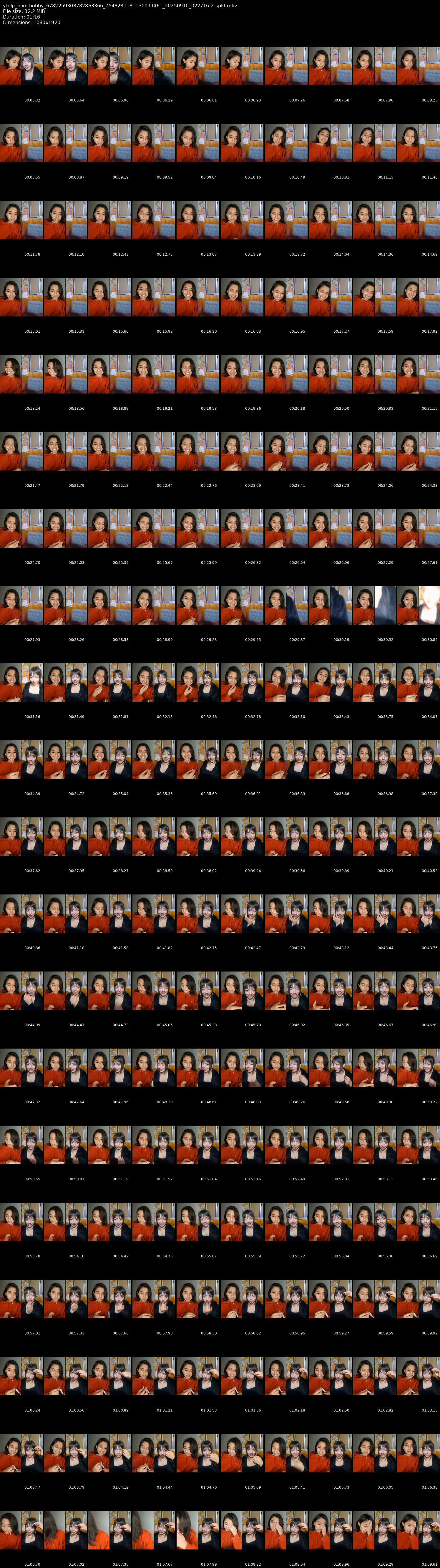 grid_ytdlp_bom.bobby_6782259308782863366_7548281181130099461_20250910_022716-2-split.mkv.webp