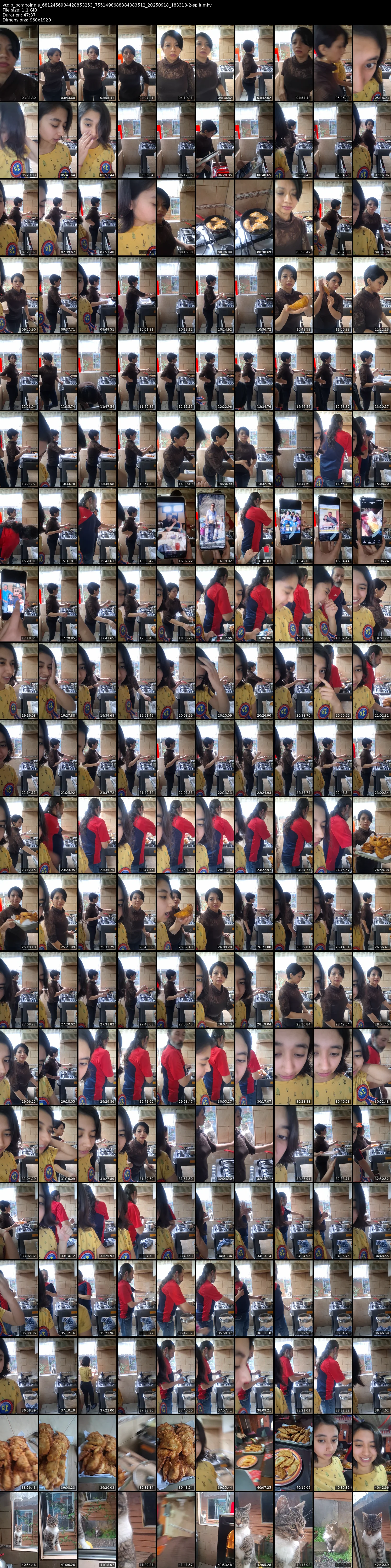 grid_ytdlp_bombolnnie_6812456934428853253_7551498688884083512_20250918_183318-2-split.mkv.webp