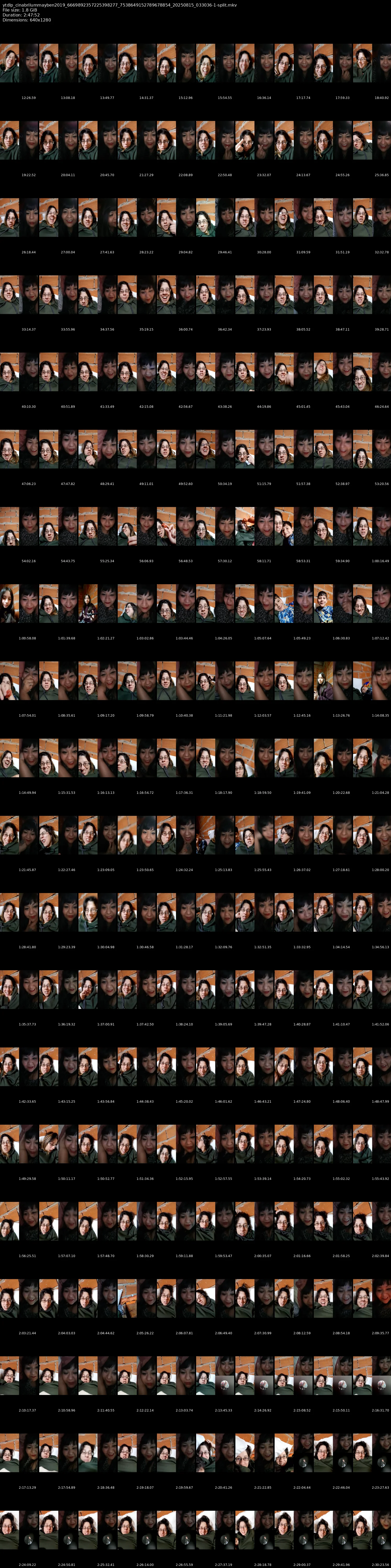 grid_ytdlp_cinabrilummayben2019_6669892357225398277_7538649152789678854_20250815_033036-1-split.mkv.webp