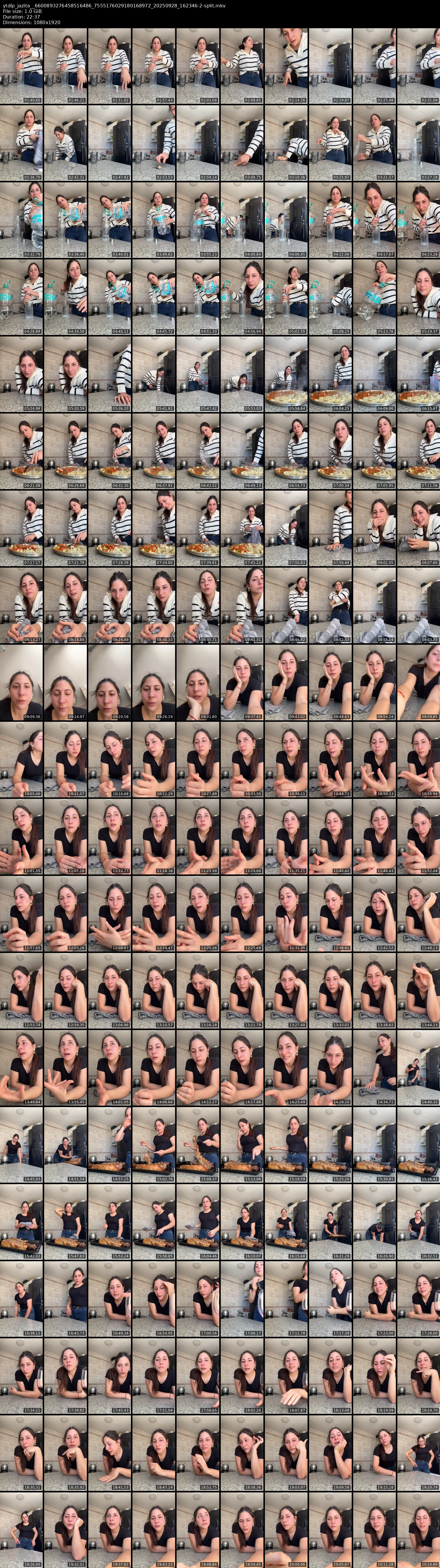 grid_ytdlp_jazita__6600893276458516486_7555176029180168972_20250928_162346-2-split.mkv.webp