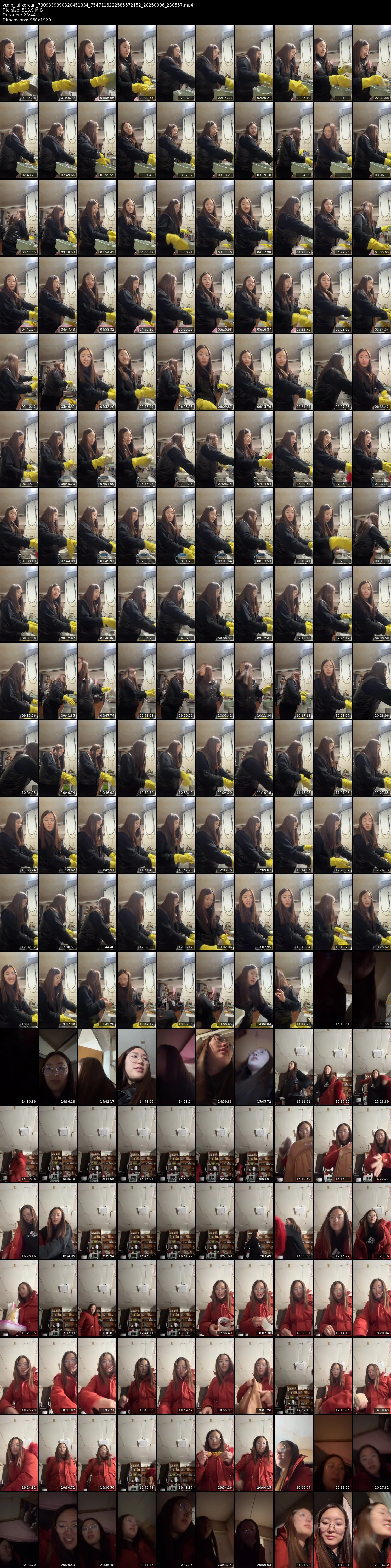 grid_ytdlp_julikorean_7309839390820451334_7547116222585572152_20250906_230557.mp4.webp