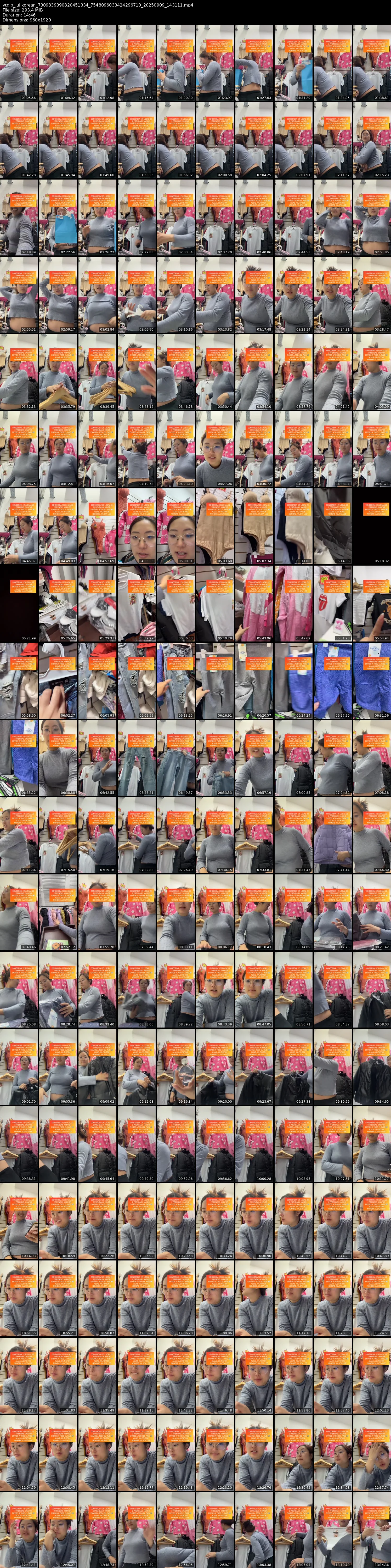 grid_ytdlp_julikorean_7309839390820451334_7548096033424296710_20250909_143111.mp4.webp