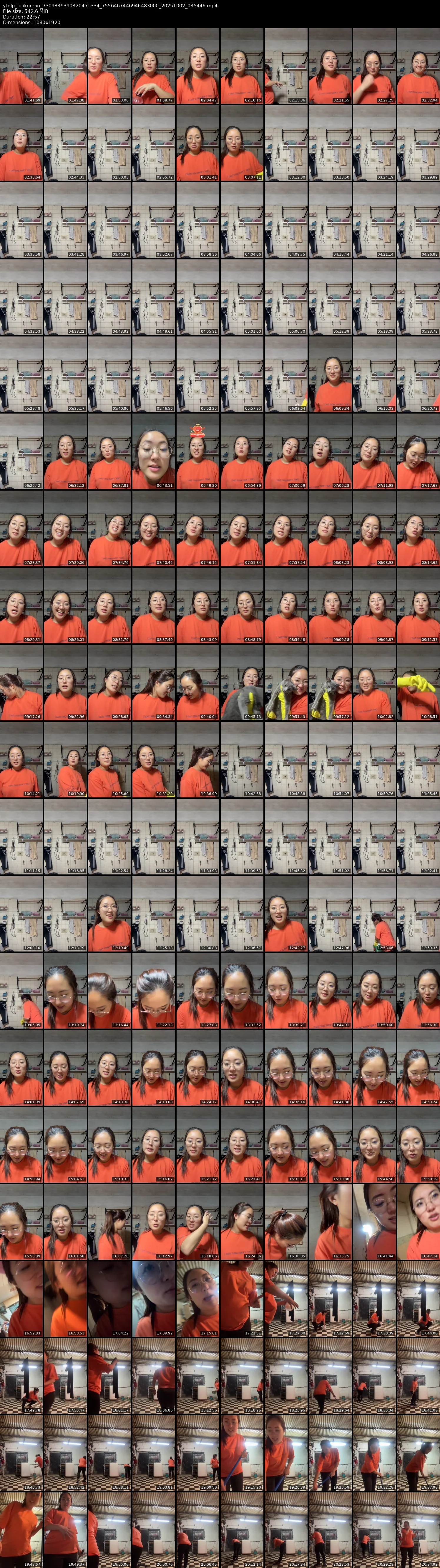 grid_ytdlp_julikorean_7309839390820451334_7556467446946483000_20251002_035446.mp4.webp