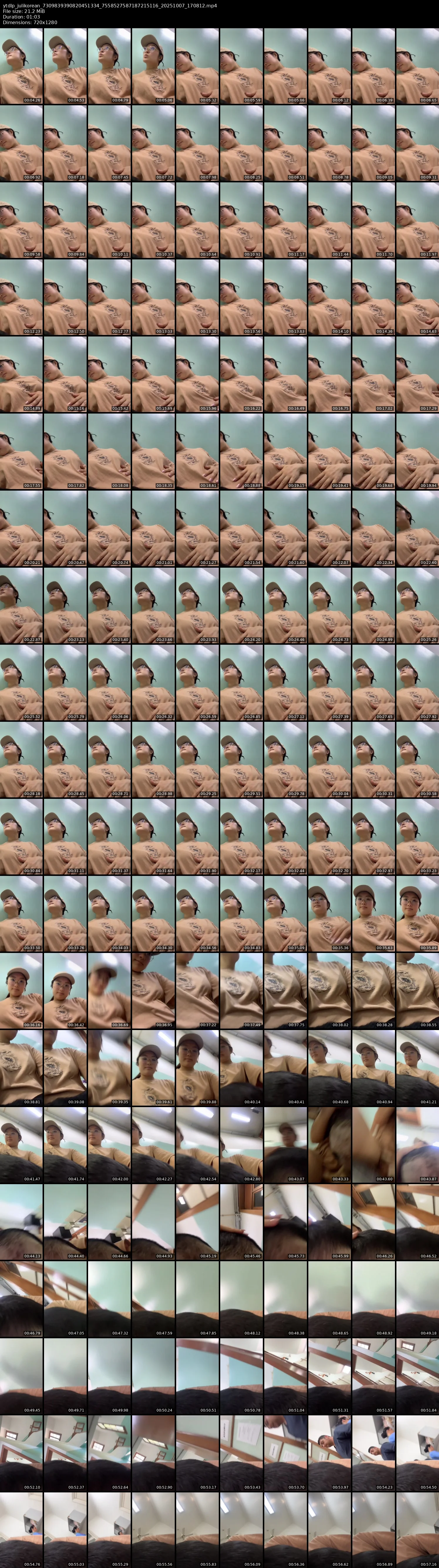 grid_ytdlp_julikorean_7309839390820451334_7558527587187215116_20251007_170812.mp4.webp